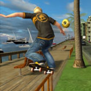 skateboard 3d game