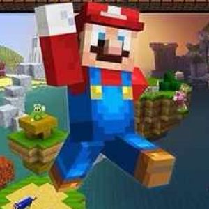 minecraft super mario edition pc