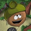 Play The acorn Game Free