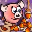 Play Piggy Wiggy 3 Nuts Game Free