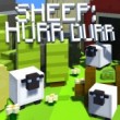Sheep: HurrDurr