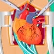 Play Heart Surgery Game Free
