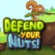 Play Defend Your Nuts Game Free