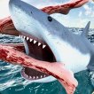 Play Shark Simulator Beach Killer Game Free